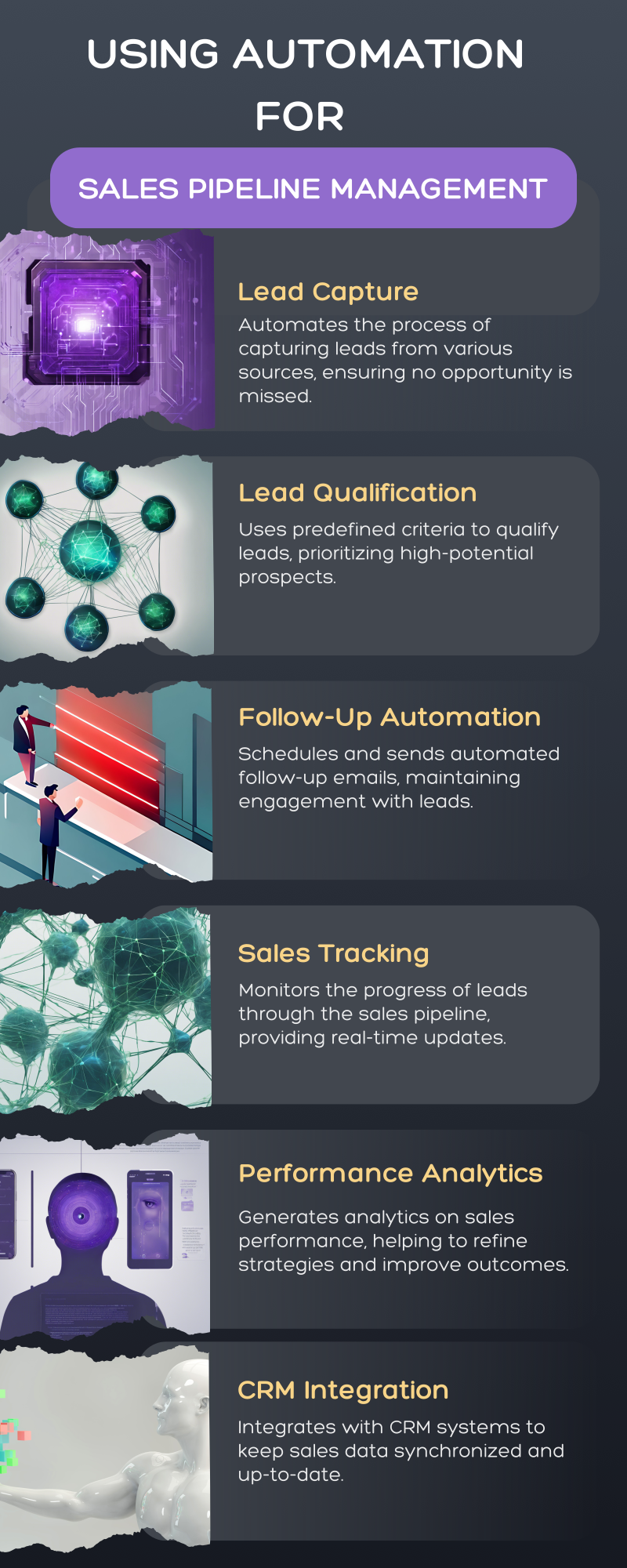 Infographic 6