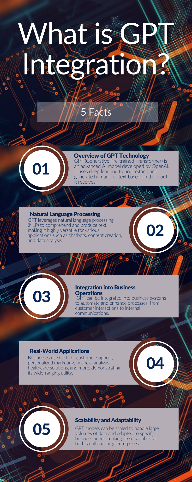 Infographic 4